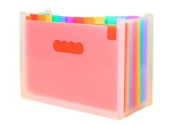 LEAN Teczka Organizer Na Dokumenty Kolorowe Zakładki Kieszenie A4