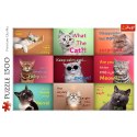 Trefl Puzzle Puzzle 1500 Zabawne Kocie Portrety Trefl 26212