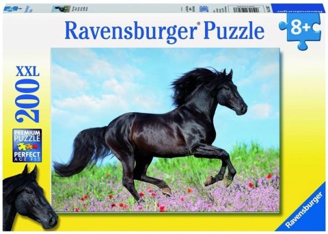 Puzzle 200 Piękno konia Puzzle 200 Piękno konia