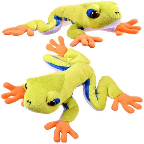 Maskotka zielona pluszowa Żaba drzewna 20cm 13358 Maskotka zielona pluszowa Żaba drzewna 20cm 13358