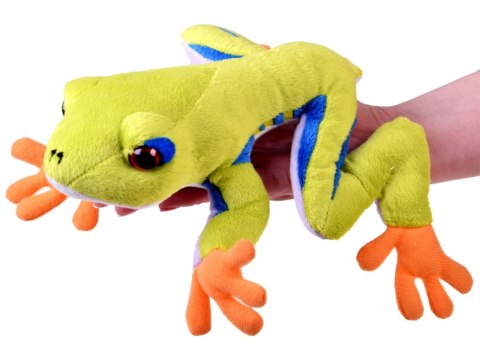 Maskotka zielona pluszowa Żaba drzewna 20cm 13358 Maskotka zielona pluszowa Żaba drzewna 20cm 13358