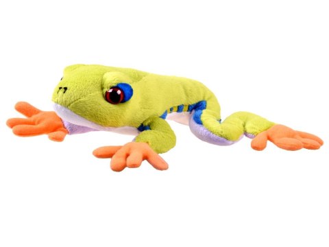 Maskotka zielona pluszowa Żaba drzewna 20cm 13358 Maskotka zielona pluszowa Żaba drzewna 20cm 13358