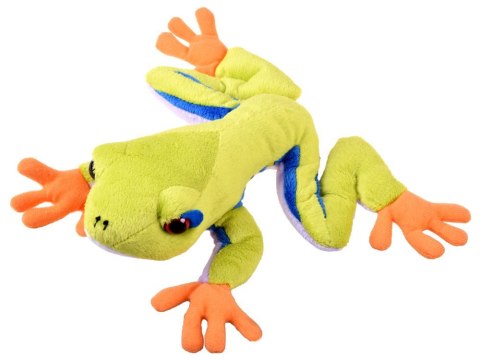 Maskotka zielona pluszowa Żaba drzewna 20cm 13358 Maskotka zielona pluszowa Żaba drzewna 20cm 13358