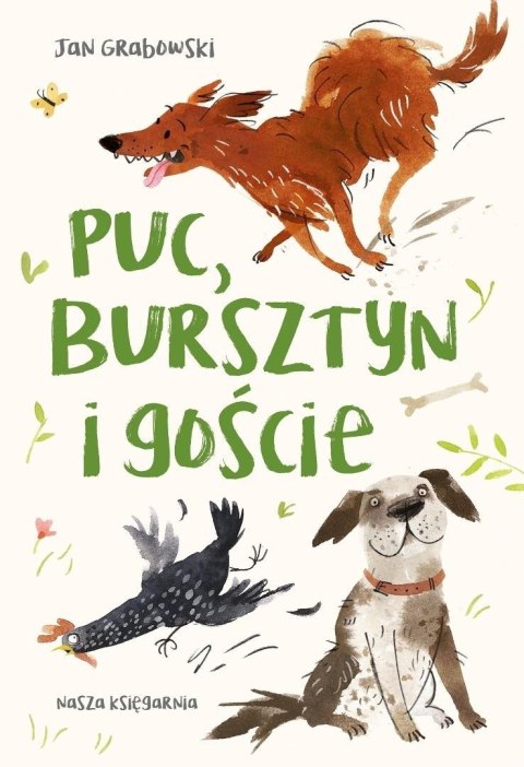 Puc, Bursztyn i goście Puc, Bursztyn i goście