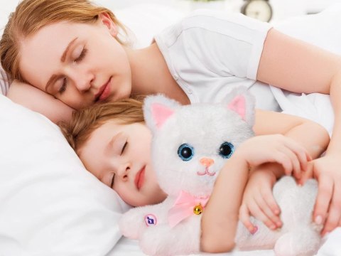 Kotek interaktywny kot miauczy mruczy nagrywa melodie + kociaki ZA4694 BI Kotek interaktywny kot miauczy mruczy nagrywa melodie + kociaki ZA4694 BI