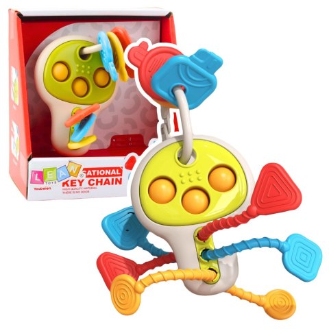 LEAN Toys Klucze Edukacyjne Sensoryczyne Kolorowe Ruchome Elementy Dla Malucha LEAN Toys Klucze Edukacyjne Sensoryczyne Kolorowe Ruchome Elementy Dla Malucha