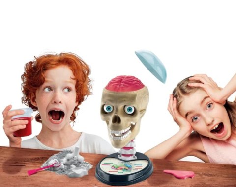 Clementoni Naukowa Zabawa Zestaw Zwariowana Anatomia Język Polski Clementoni 50697 Clementoni Naukowa Zabawa Zestaw Zwariowana Anatomia Język Polski Clementoni 50697