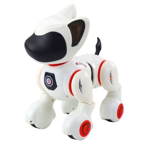 LEAN Toys Piesek Interaktywny Robot Pies Pilot Światło Dźwięk Biały Pomarańczowy LEAN Toys Piesek Interaktywny Robot Pies Pilot Światło Dźwięk Biały Pomarańczowy