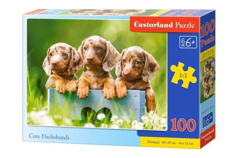 Puzzle 100 el. Cute Dachshunds Puzzle 100 el. Cute Dachshunds