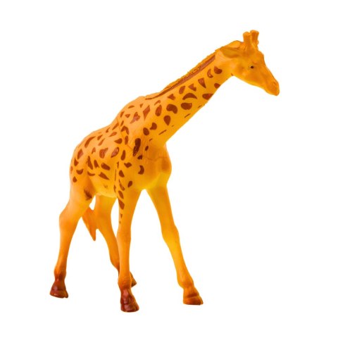 LEAN TOYS Zestaw Figurki Dzikie Zwierzęta Safari Panda Żyrafa Lew Hipopotam 4 szt. LEAN TOYS Zestaw Figurki Dzikie Zwierzęta Safari Panda Żyrafa Lew Hipopotam 4 szt.