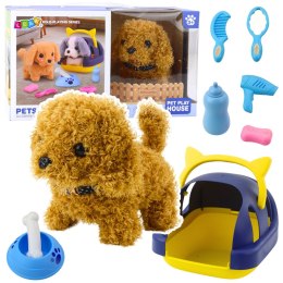 LEAN Toys Pies Pudel Interaktywny Pluszowy Chodzi Szczeka Transporter Akcesoria