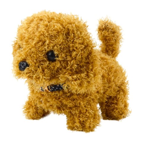 LEAN Toys Pies Pudel Interaktywny Pluszowy Chodzi Szczeka Transporter Akcesoria LEAN Toys Pies Pudel Interaktywny Pluszowy Chodzi Szczeka Transporter Akcesoria