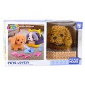LEAN Toys Pies Pudel Interaktywny Pluszowy Chodzi Szczeka Transporter Akcesoria