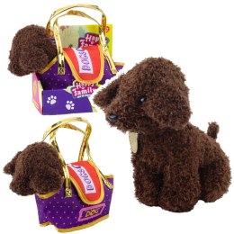 LEAN Toys Piesek Pudel W Torbie Na Rzep Maskotka Przytulanka Ciemnobrązowy