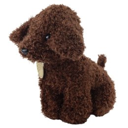 LEAN Toys Piesek Pudel W Torbie Na Rzep Maskotka Przytulanka Ciemnobrązowy