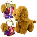 LEAN Toys Piesek Pudel W Torbie Na Rzep Maskotka Przytulanka Jasnobrązowy