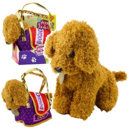 LEAN Toys Piesek Pudel W Torbie Na Rzep Maskotka Przytulanka Jasnobrązowy