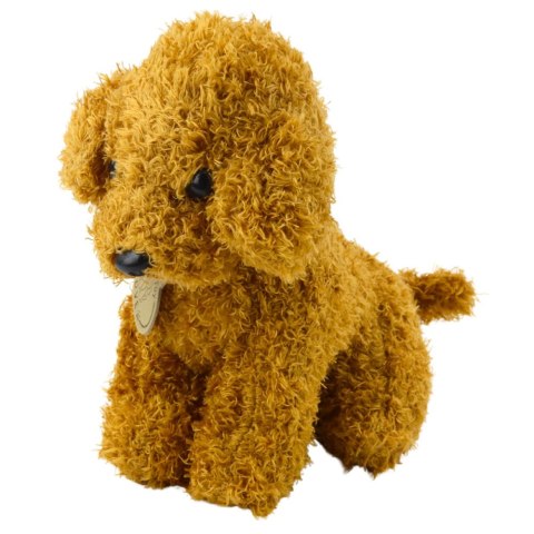 LEAN Toys Piesek Pudel W Torbie Na Rzep Maskotka Przytulanka Jasnobrązowy LEAN Toys Piesek Pudel W Torbie Na Rzep Maskotka Przytulanka Jasnobrązowy