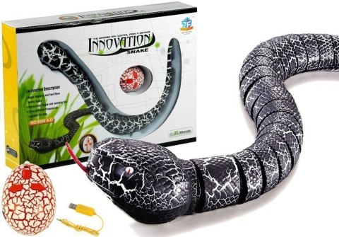LEAN Toys Wąż Sterowany Pilotem na Podczerwień Czarny LEAN Toys Wąż Sterowany Pilotem na Podczerwień Czarny