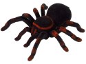 LEAN Toys Zdalnie Sterowany Pająk Tarantula Czarny R/C