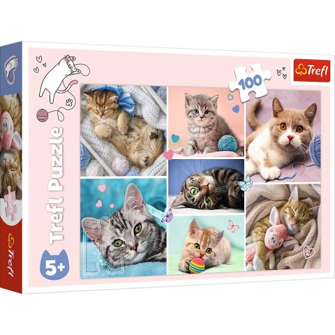 Trefl Puzzle Puzzle - 100 - W kocim świecie - Trefl 16420 Trefl Puzzle Puzzle - 100 - W kocim świecie - Trefl 16420