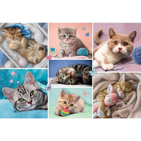 Trefl Puzzle Puzzle - 100 - W kocim świecie - Trefl 16420 Trefl Puzzle Puzzle - 100 - W kocim świecie - Trefl 16420