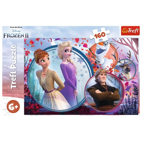 Trefl Puzzle Puzzle - 160 - Siostrzana przygoda - Disney Frozen Trefl 15374 Trefl Puzzle Puzzle - 160 - Siostrzana przygoda - Disney Frozen Trefl 15374