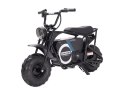 LEAN CARS Motor Na Akumulator FIRESTORM HP123E Czarny