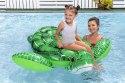 Bestway Bestway 41524