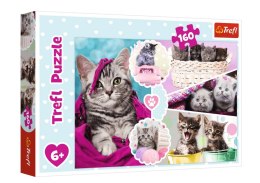 Trefl Puzzle Puzzle 160 el. Urocze kotki Trefl 15371