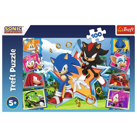 Trefl Puzzle Puzzle - "100" - Poznaj Sonica Trefl 16465 Trefl Puzzle Puzzle - "100" - Poznaj Sonica Trefl 16465