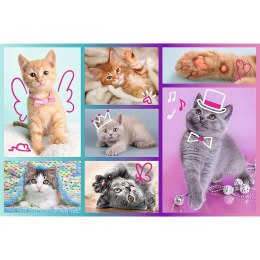 Trefl Puzzle Puzzle - 