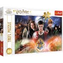 Trefl Puzzle Puzzle Harry Potter 300 el. Tajemniczy Harry Potter 23001