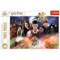 Trefl Puzzle Puzzle Harry Potter 300 el. Tajemniczy Harry Potter 23001