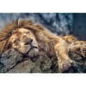 Trefl Puzzle Puzzle - 1000 - Śpiący lew / 500 px 10447