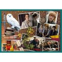 Trefl Puzzle Puzzle 10w1 Harry Potter W świecie Harrego Pottera 90392