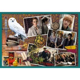 Trefl Puzzle Puzzle 10w1 Harry Potter W świecie Harrego Pottera 90392