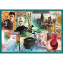 Trefl Puzzle Puzzle 10w1 Harry Potter W świecie Harrego Pottera 90392