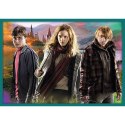 Trefl Puzzle Puzzle 10w1 Harry Potter W świecie Harrego Pottera 90392