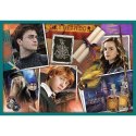 Trefl Puzzle Puzzle 10w1 Harry Potter W świecie Harrego Pottera 90392