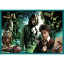 Trefl Puzzle Puzzle 10w1 Harry Potter W świecie Harrego Pottera 90392