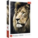 Trefl Puzzle Puzzle - 1500 - Portret lwa / 500 px 26139