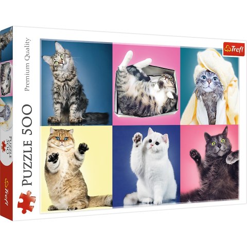 Trefl Puzzle Puzzle 500 el. Kociaki Trefl 37377 Trefl Puzzle Puzzle 500 el. Kociaki Trefl 37377