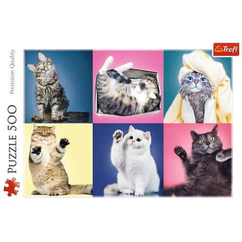 Trefl Puzzle Puzzle 500 el. Kociaki Trefl 37377 Trefl Puzzle Puzzle 500 el. Kociaki Trefl 37377