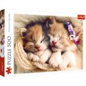 Trefl Puzzle Puzzle 500 el. Śpiące kotki Trefl 37271