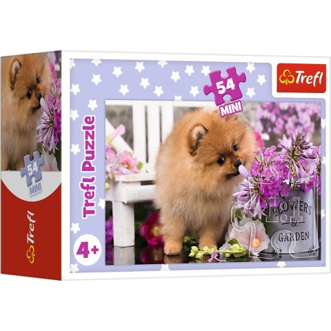Trefl Puzzle Puzzle - 54 mini - Urocze zwierzątka - Trefl 54195 Trefl Puzzle Puzzle - 54 mini - Urocze zwierzątka - Trefl 54195