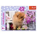 Trefl Puzzle Puzzle - 54 mini - Urocze zwierzątka - Trefl 54195