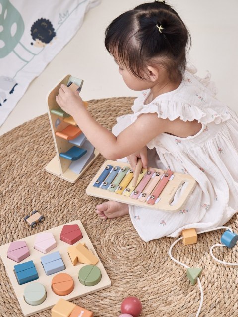 VIGA Zestaw Zabawek Edukacyjnych Pudełko Box od 18 miesiąca do 24 miesiąca VIGA Zestaw Zabawek Edukacyjnych Pudełko Box od 18 miesiąca do 24 miesiąca