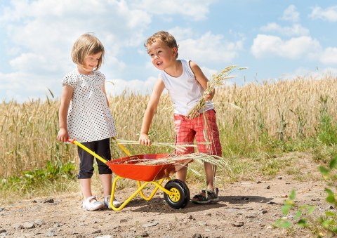 Taczka dla dzieci czerwona metalowa Rolly Toys Taczka dla dzieci czerwona metalowa Rolly Toys