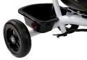 LEAN Toys Rower Trójkołowy PRO300 Czarny